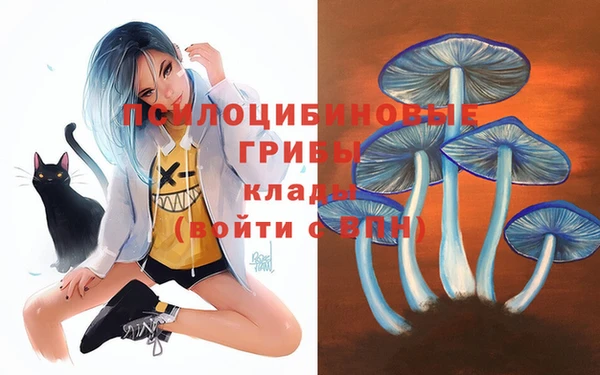 метадон Касимов
