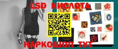 спиды Камышлов