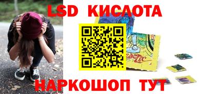 крисы Кандалакша