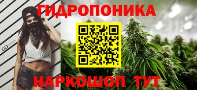 спиды Камышлов