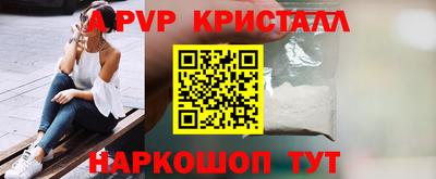 спиды Камышлов