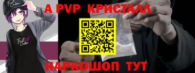 спиды Камышлов