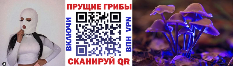 Галлюциногенные грибы Magic Shrooms  Новомосковск 