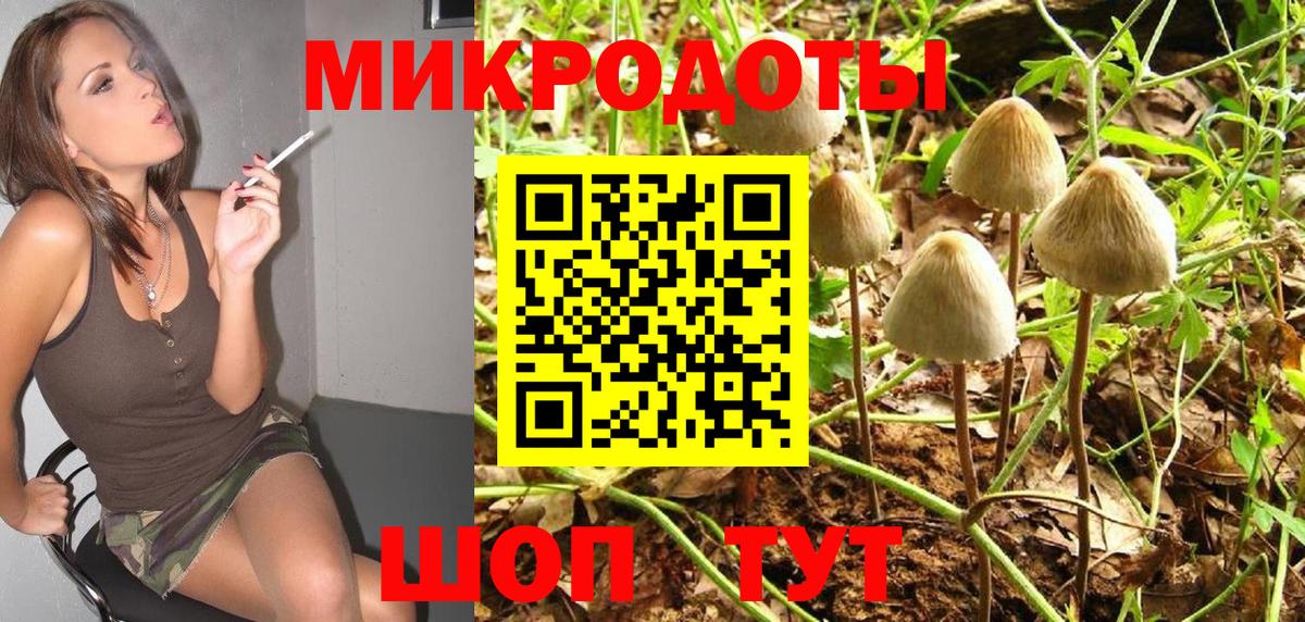 Псилоцибиновые грибы мицелий Новомосковск