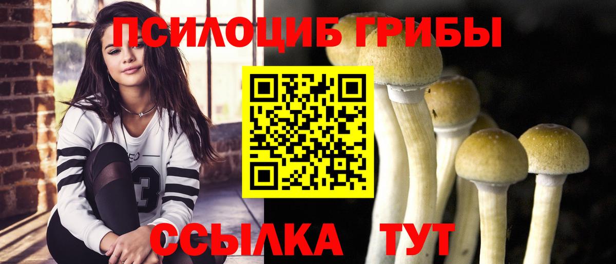 Новомосковск  Галлюциногенные грибы мицелий  Вход с VPN  Галлюциногенные грибы прущие грибы 
