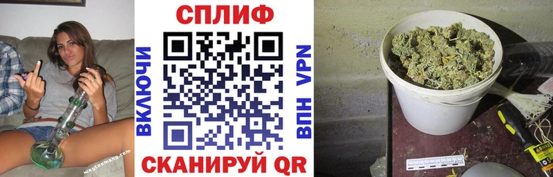 Бошки Шишки гибрид  где купить наркоту  Новомосковск 
