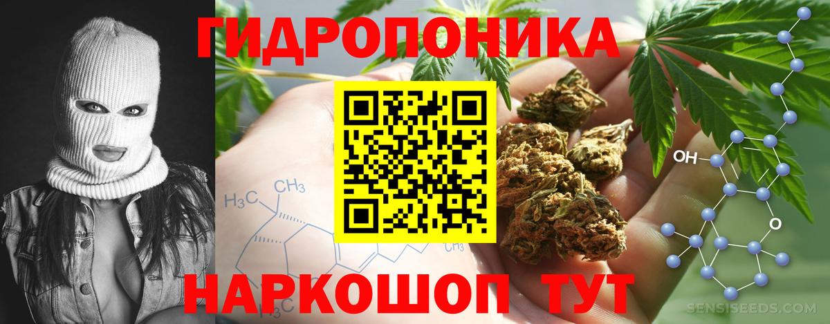 Шишки марихуана сатива Новомосковск